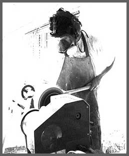 Artist Photo
