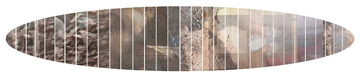 Title: <i>Remember</i> Emma Willemse Artwork