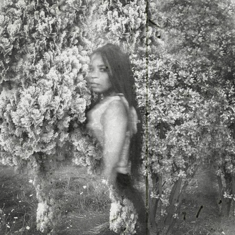 Hazel Mphande Artwork