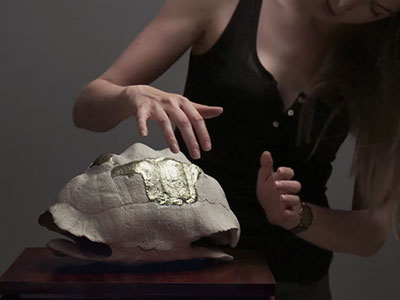 Jenna Burchell Artwork