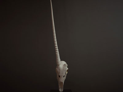 Jenna Burchell Artwork