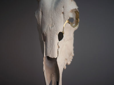 Songsmith (Fragile Homes)