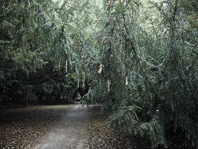 Jenna Burchell Artwork