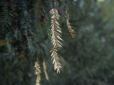 Jenna Burchell Artwork