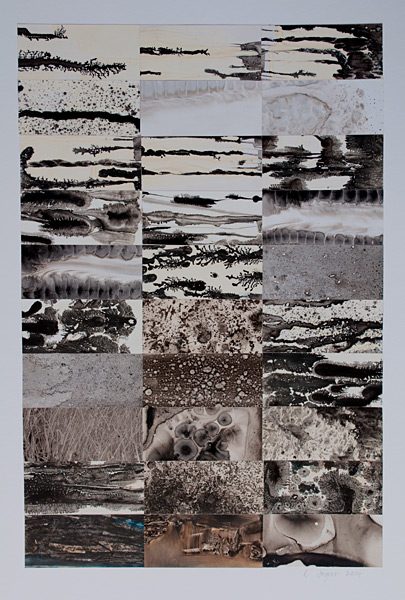 Rosemary Joynt Artwork