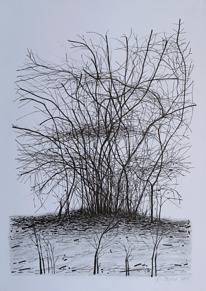 Rosemary Joynt Artwork