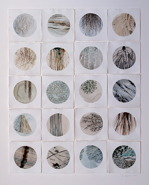 Rosemary Joynt Artwork