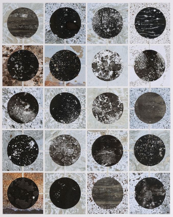 Rosemary Joynt Artwork
