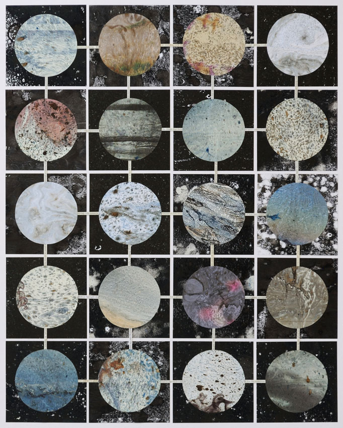 Rosemary Joynt Artwork