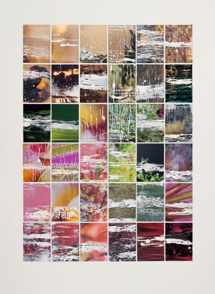 Rosemary Joynt Artwork