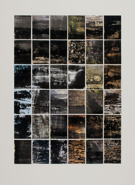 Rosemary Joynt Artwork