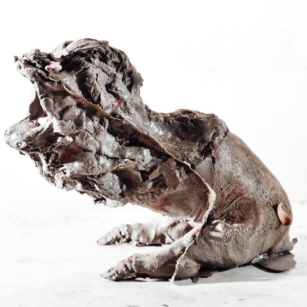 Ruhan Janse Van Vuuren Artwork