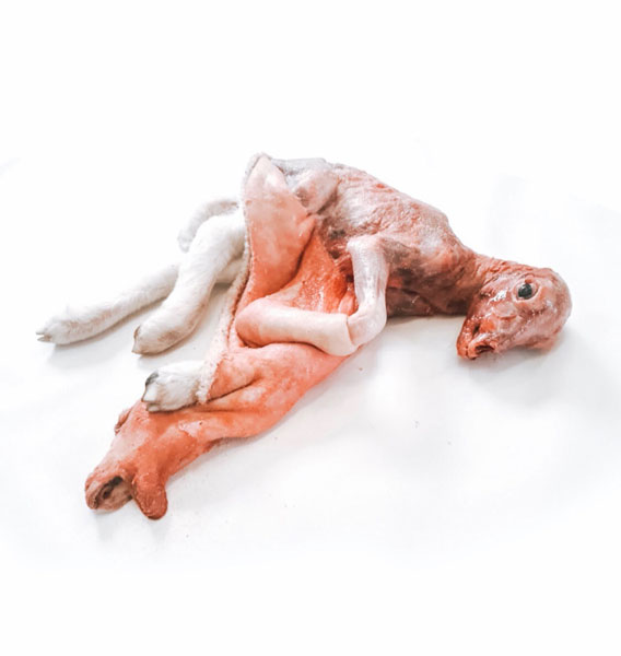 Ruhan Janse Van Vuuren Artwork