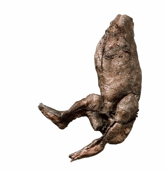 Ruhan Janse Van Vuuren Artwork