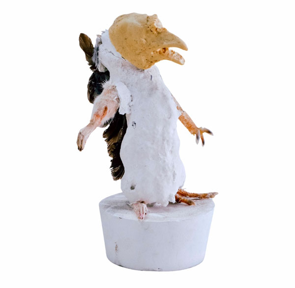 Ruhan Janse Van Vuuren Artwork