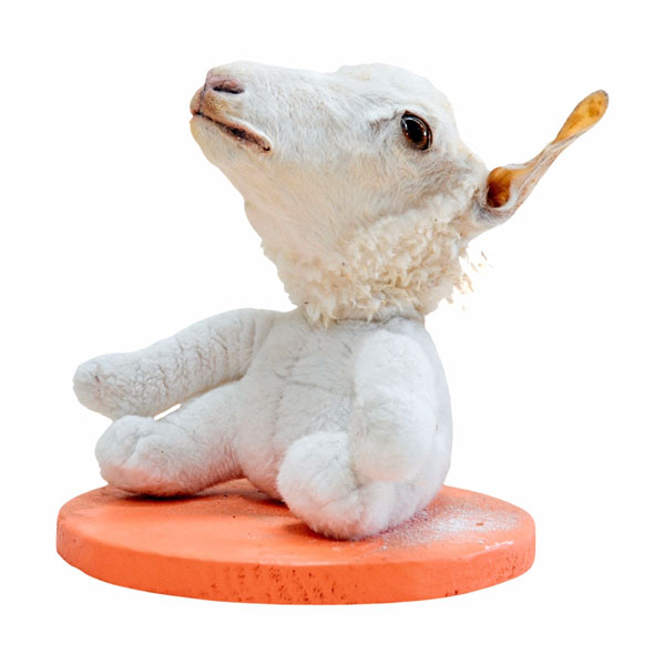 Ruhan Janse Van Vuuren Artwork