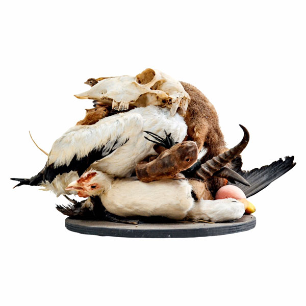 Ruhan Janse Van Vuuren Artwork