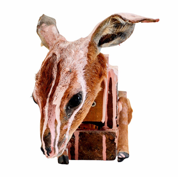 Ruhan Janse Van Vuuren Artwork