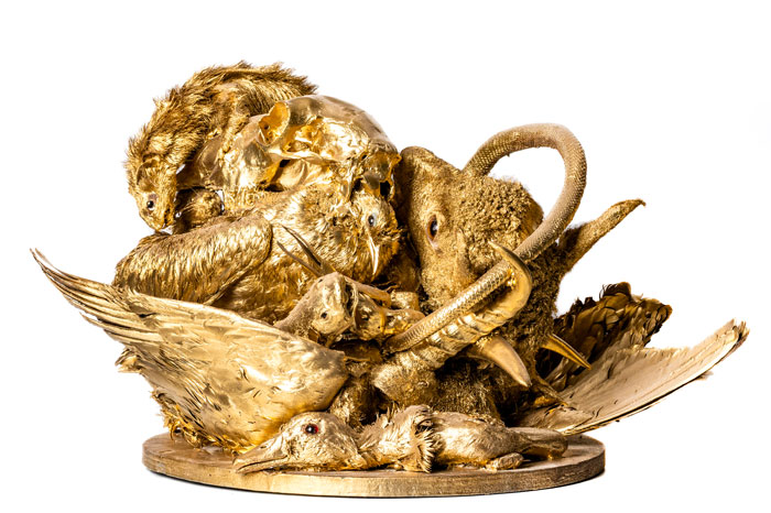 Ruhan Janse Van Vuuren Artwork